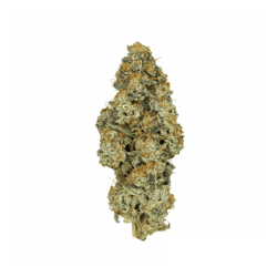 Cannamedical CM 28/1 PO